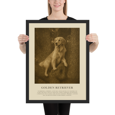 Higher Ground Framed Print
