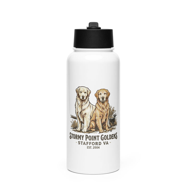 Stormy Point Stainless steel water bottle with a straw lid