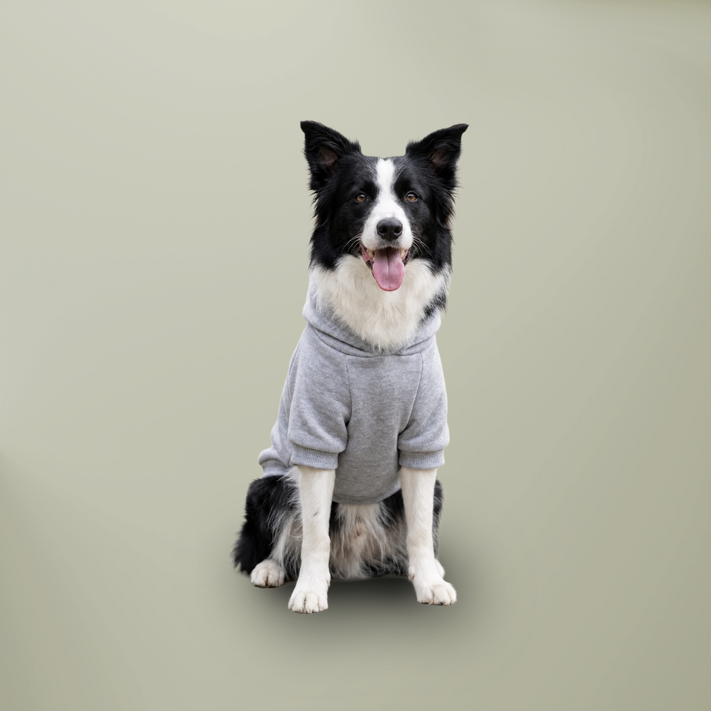 Actual grey supplier hoodie front — undecorated