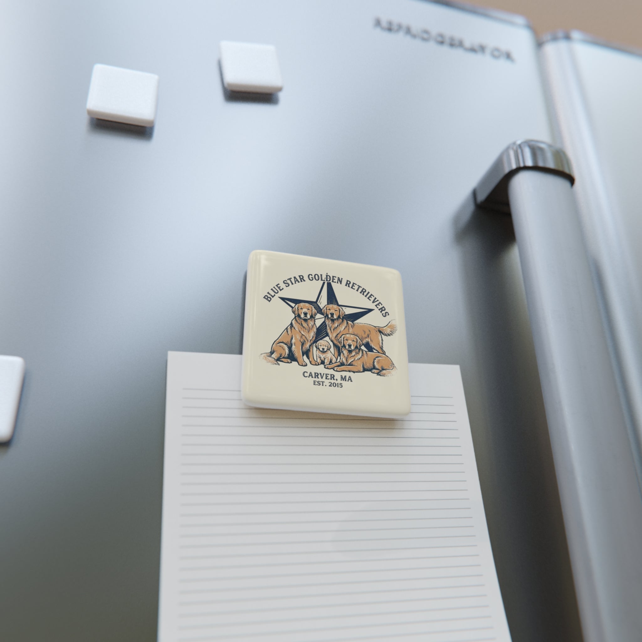 Blue Star Ceramic Magnet