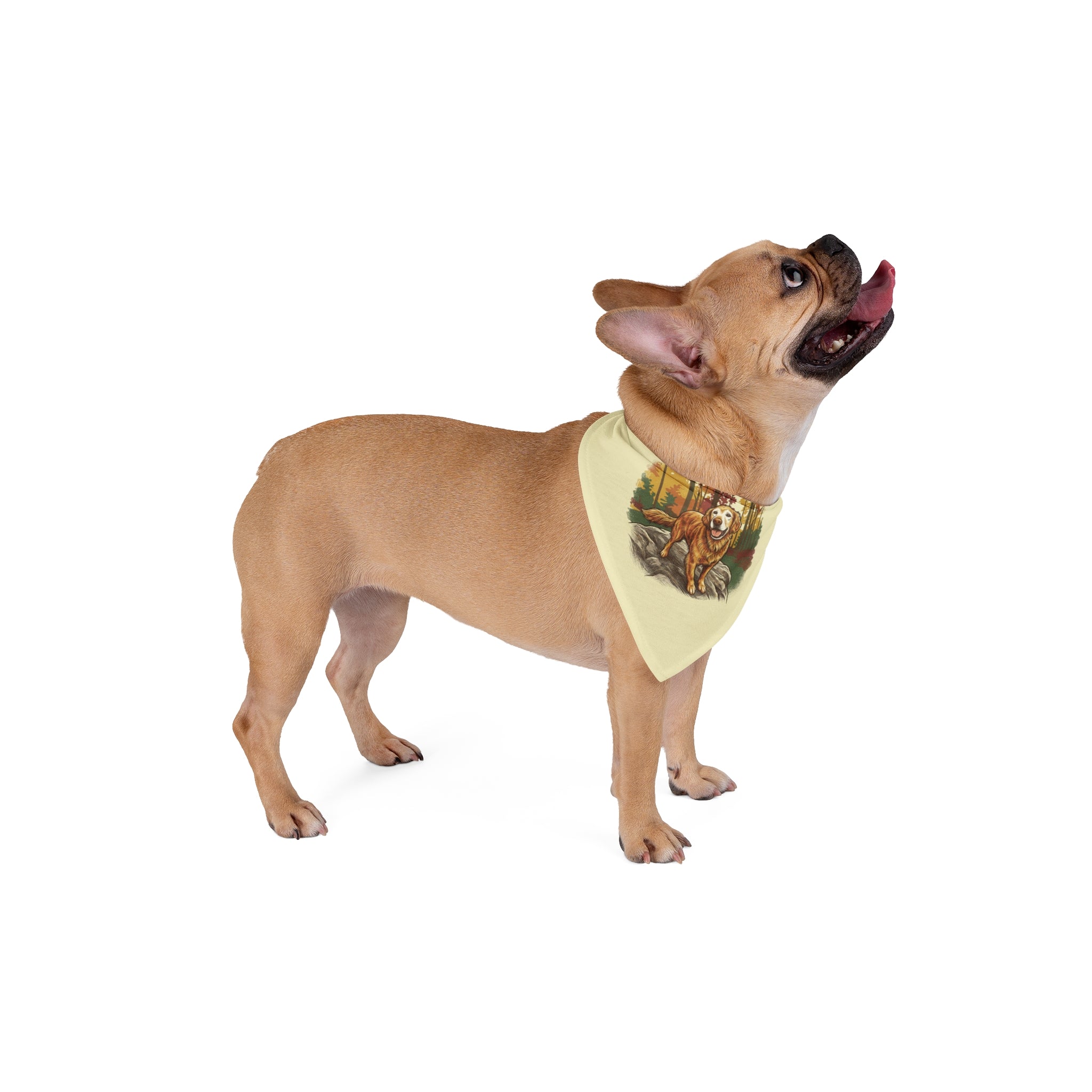 Autumn of a Golden Dog Bandana
