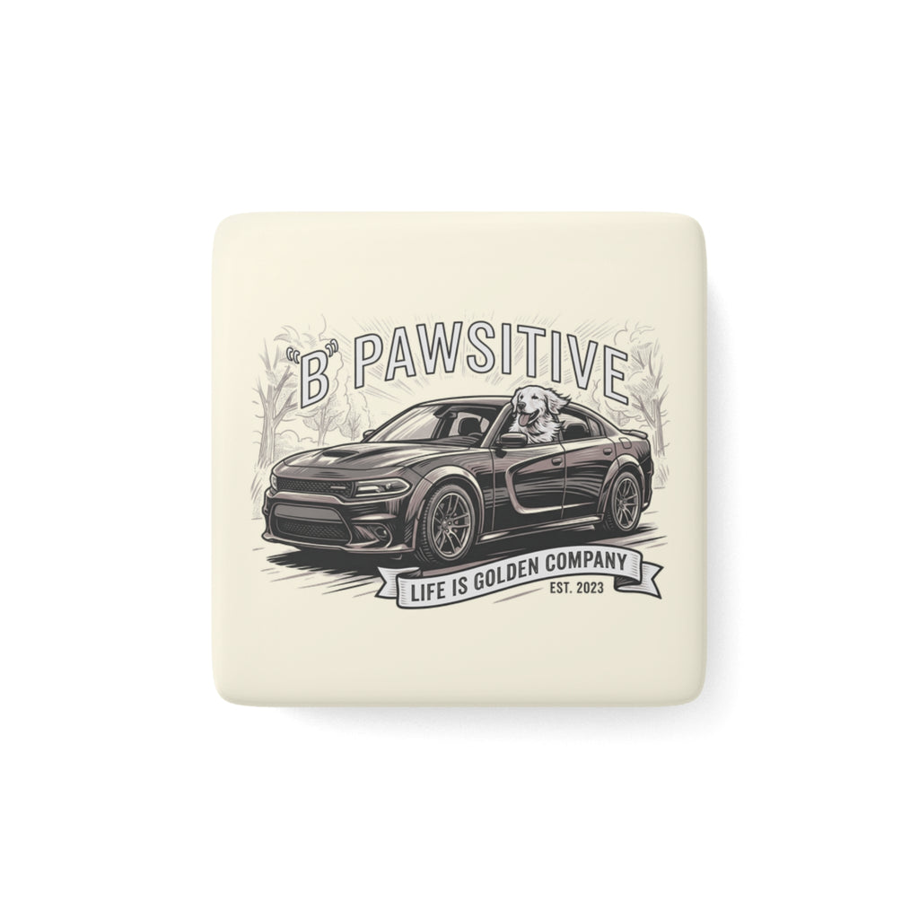 B Pawsitive Ceramic Magnet