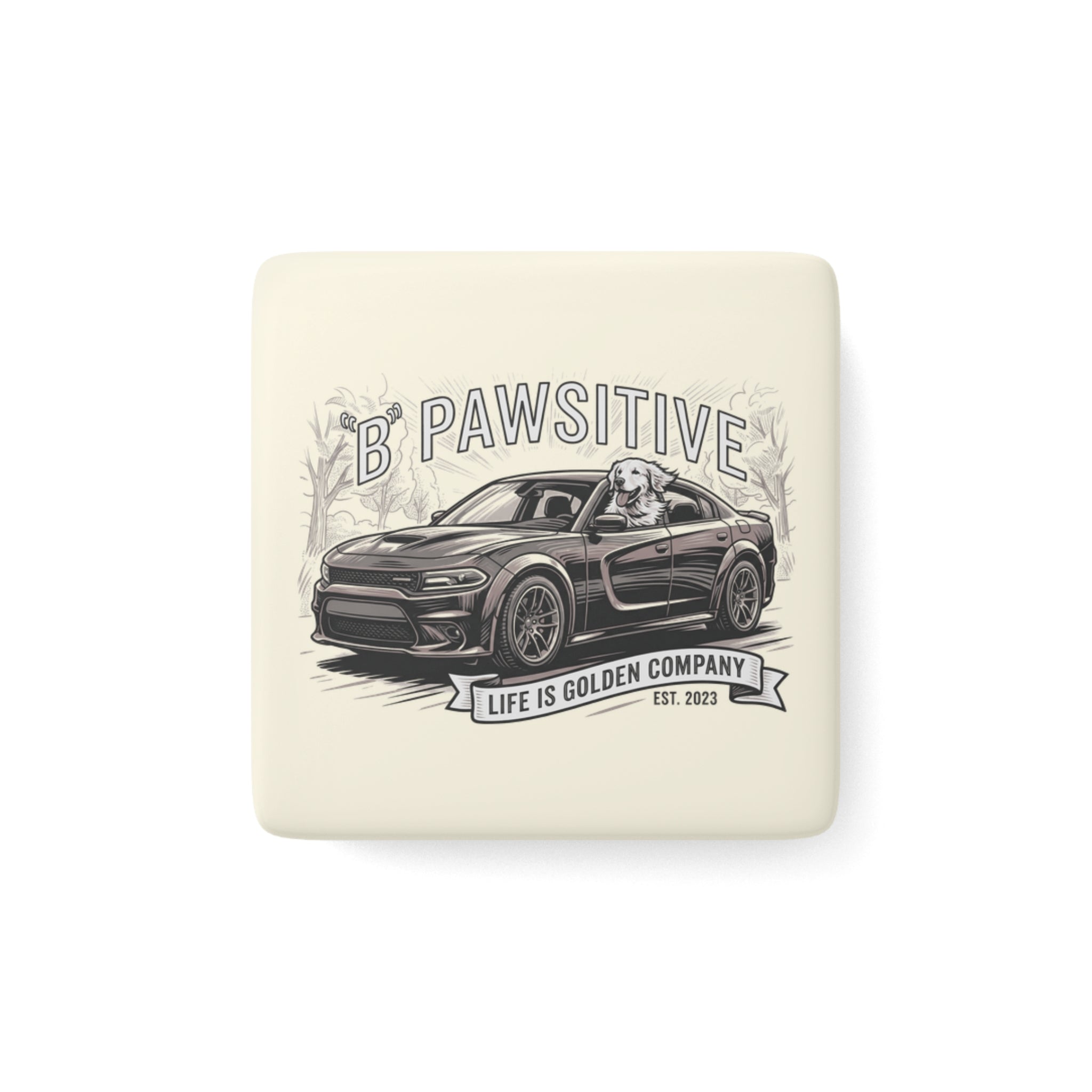 B Pawsitive Ceramic Magnet