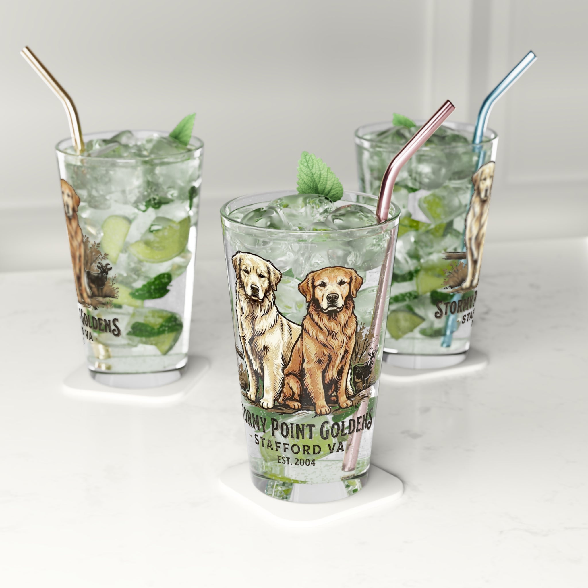 Stormy Point Pint Glass