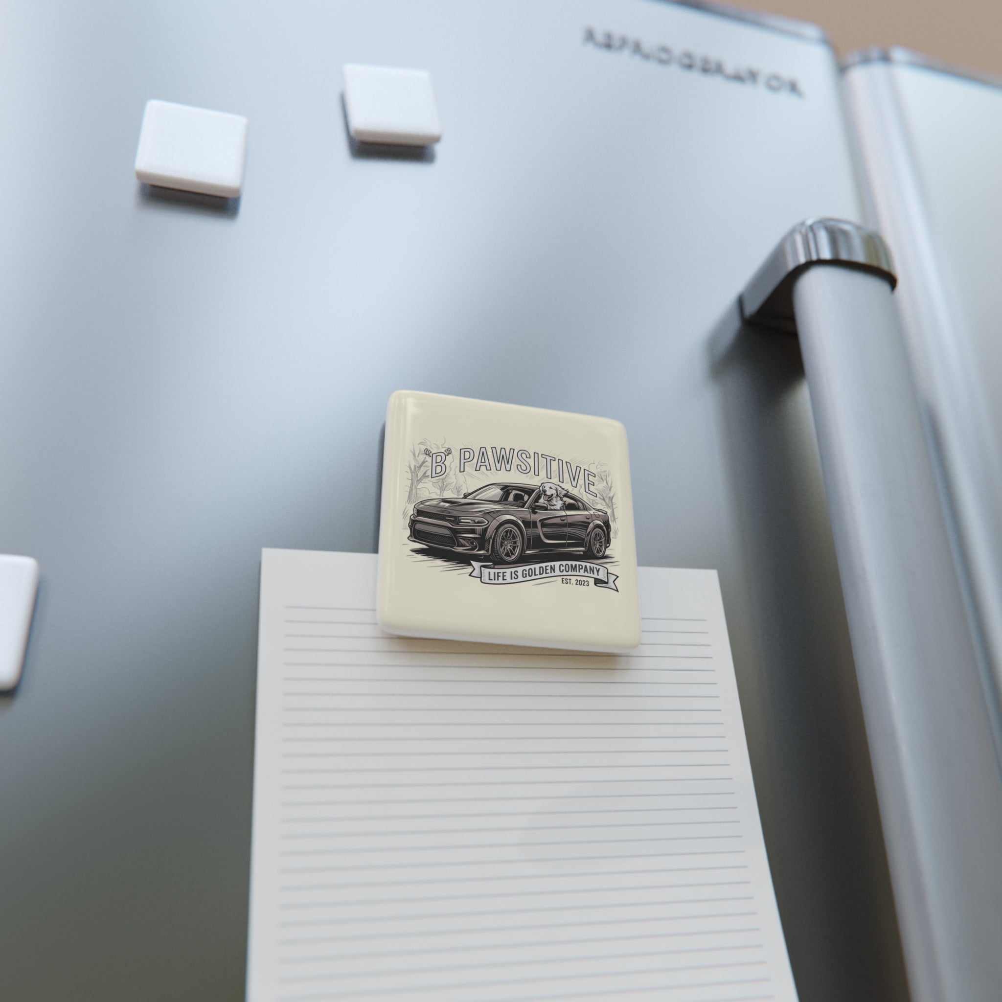 B Pawsitive Ceramic Magnet