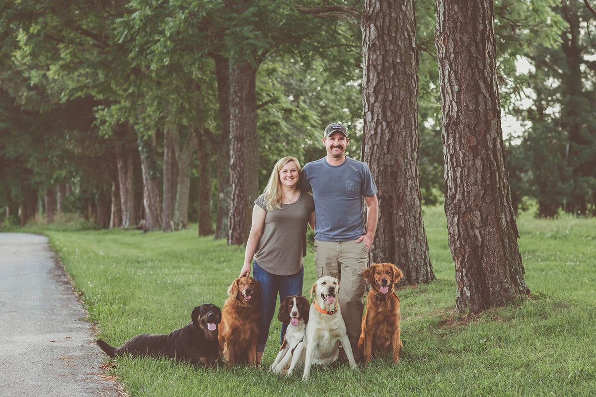 Greenridge Kennels · Goldens On The Farm