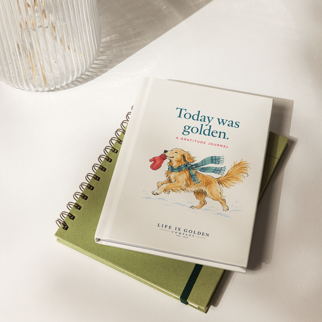 Today Was Golden journal on a writing desk