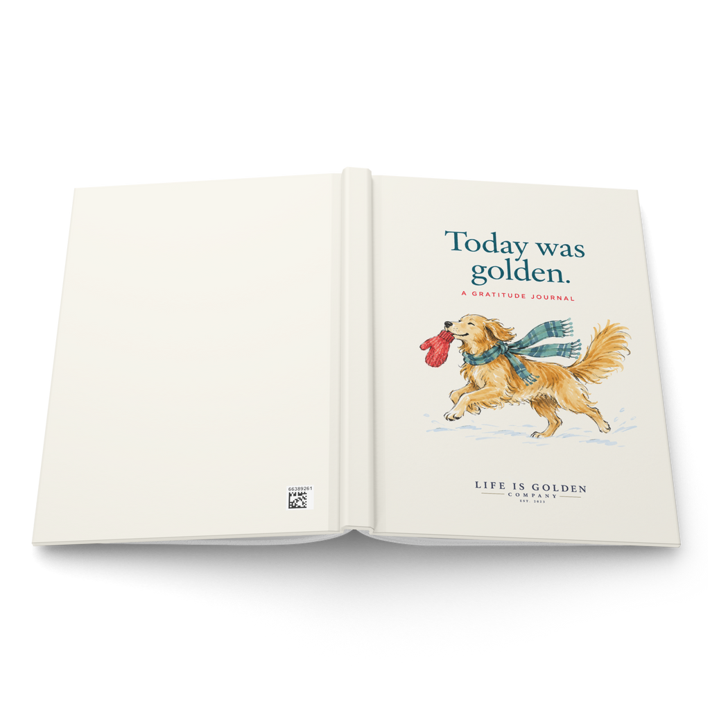 Today Was Golden — matching plain back, spine and illustrated front cover