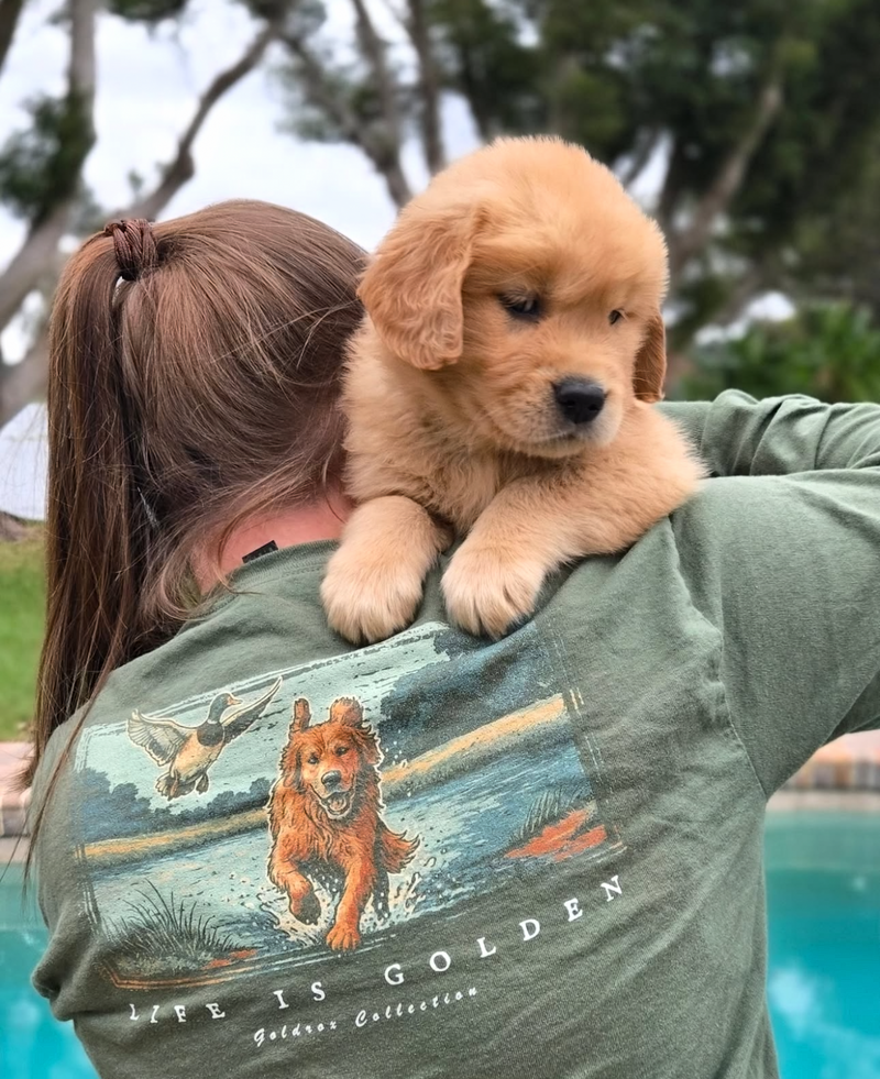 Introducing our newest