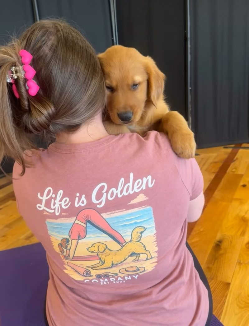 Golden puppy yoga ft