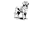 Translation missing: en.Life Is Golden Company accessibility.home
