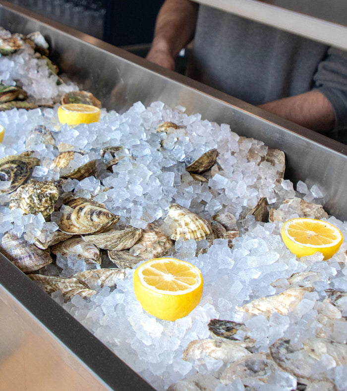 Fresh local oysters on ice at the Split Rock raw bar
