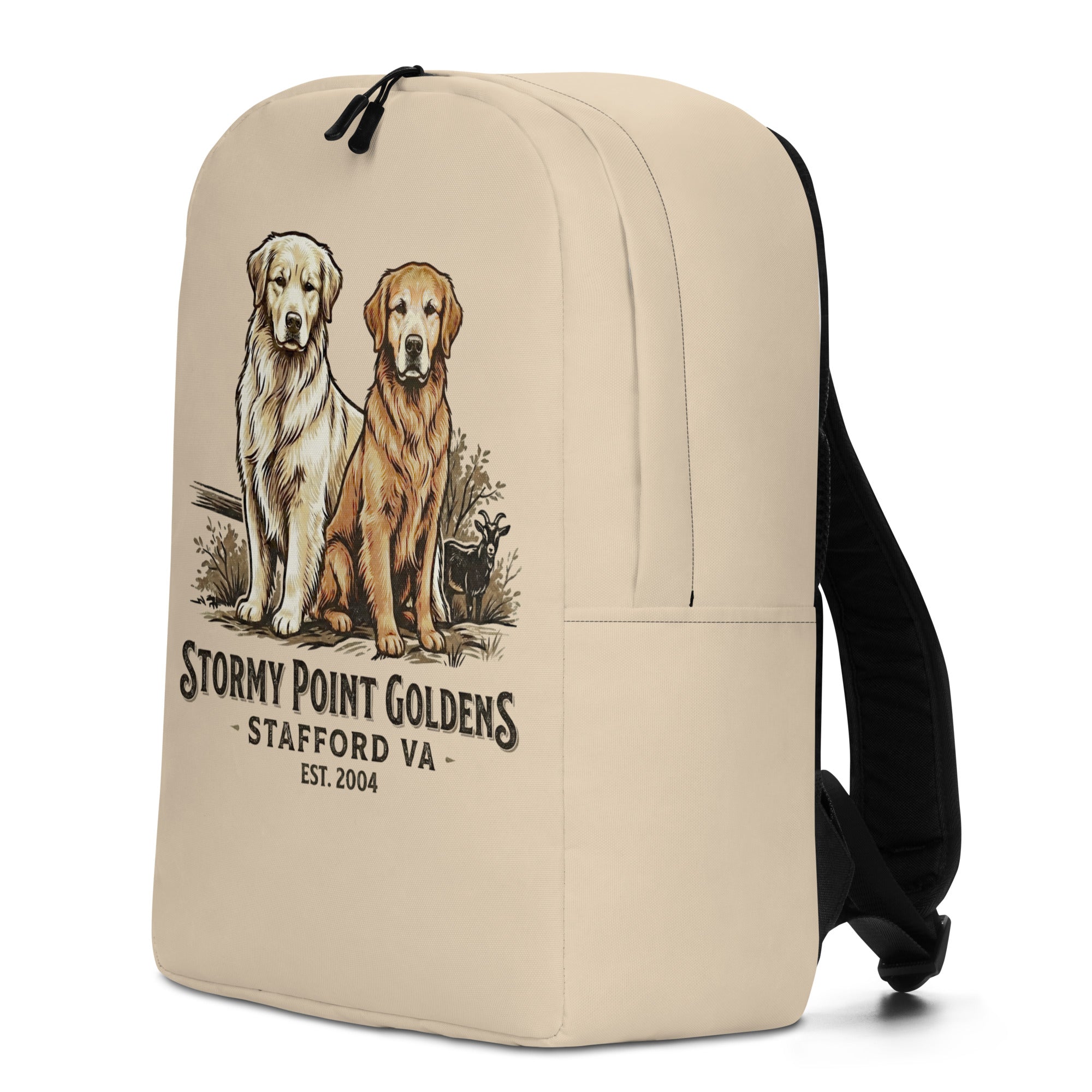 Stormy Point Backpack