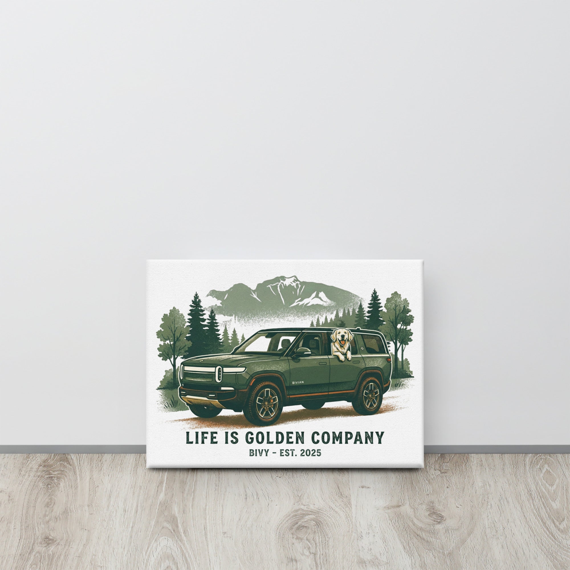 The Bivian Canvas