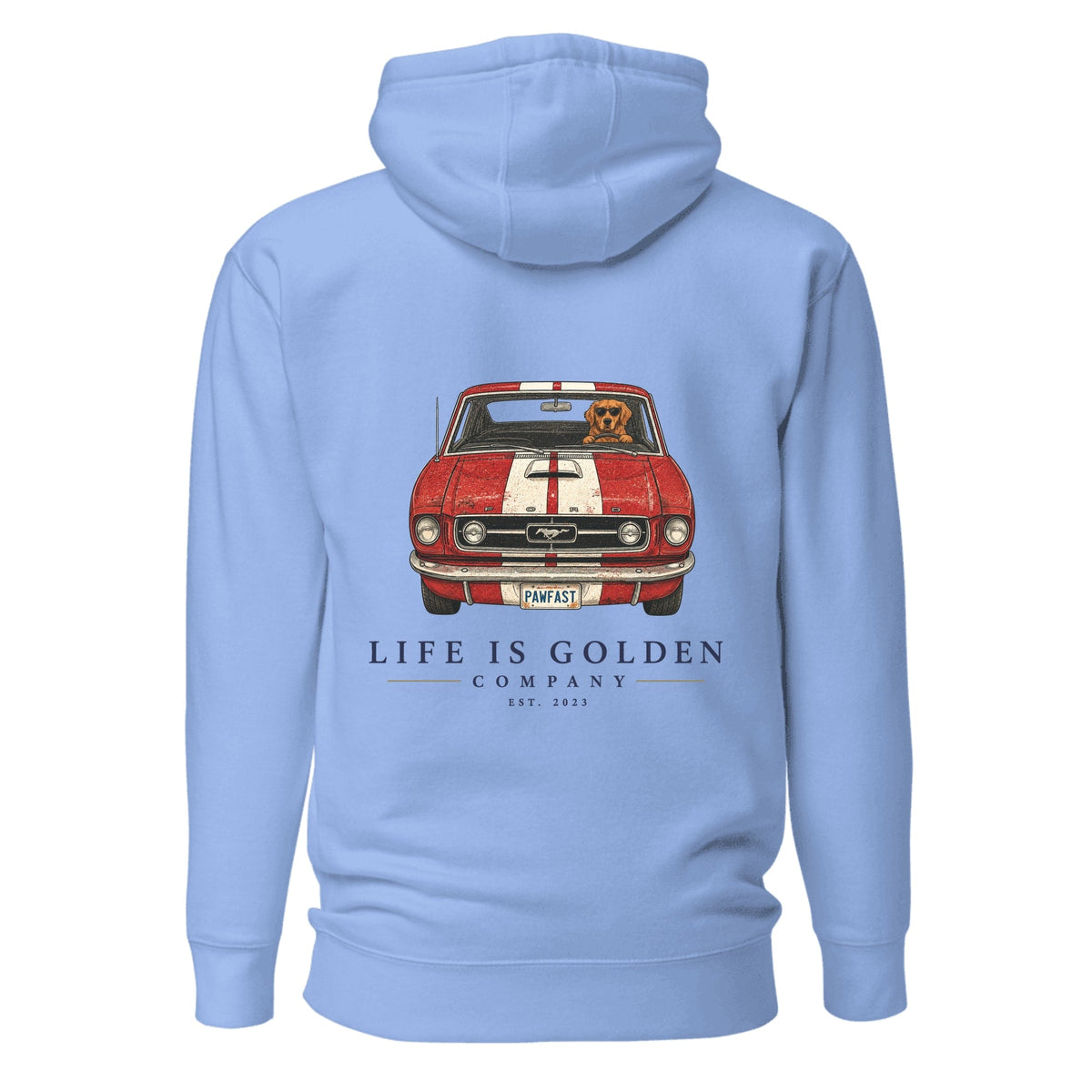 The Pony Run Hoodie — Carolina Blue
