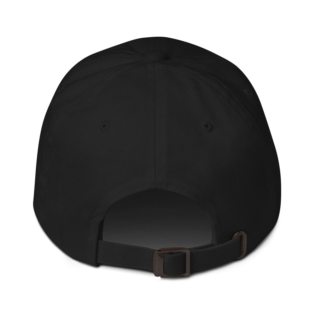 Luke and Leia Dad hat