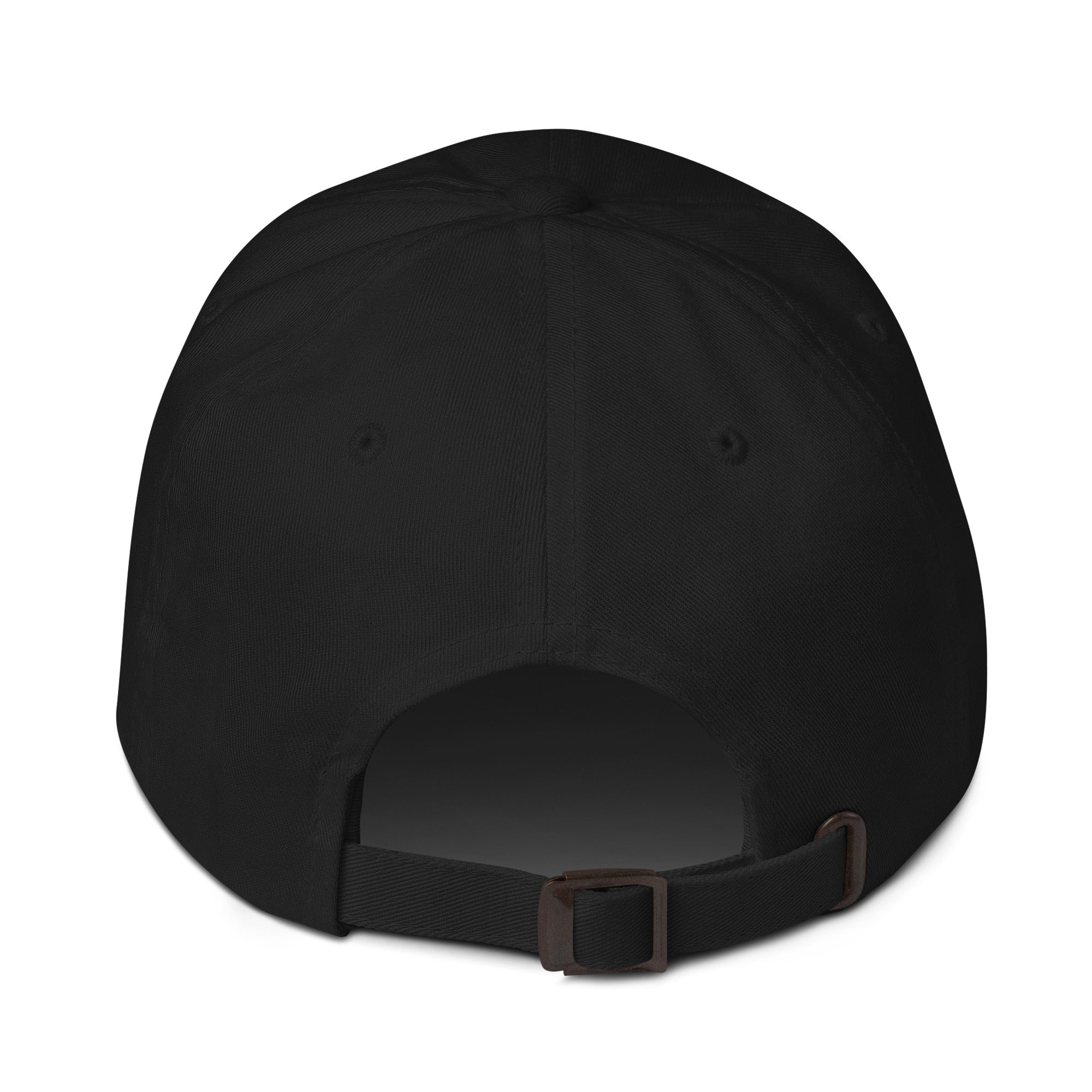 Luke and Leia Dad hat