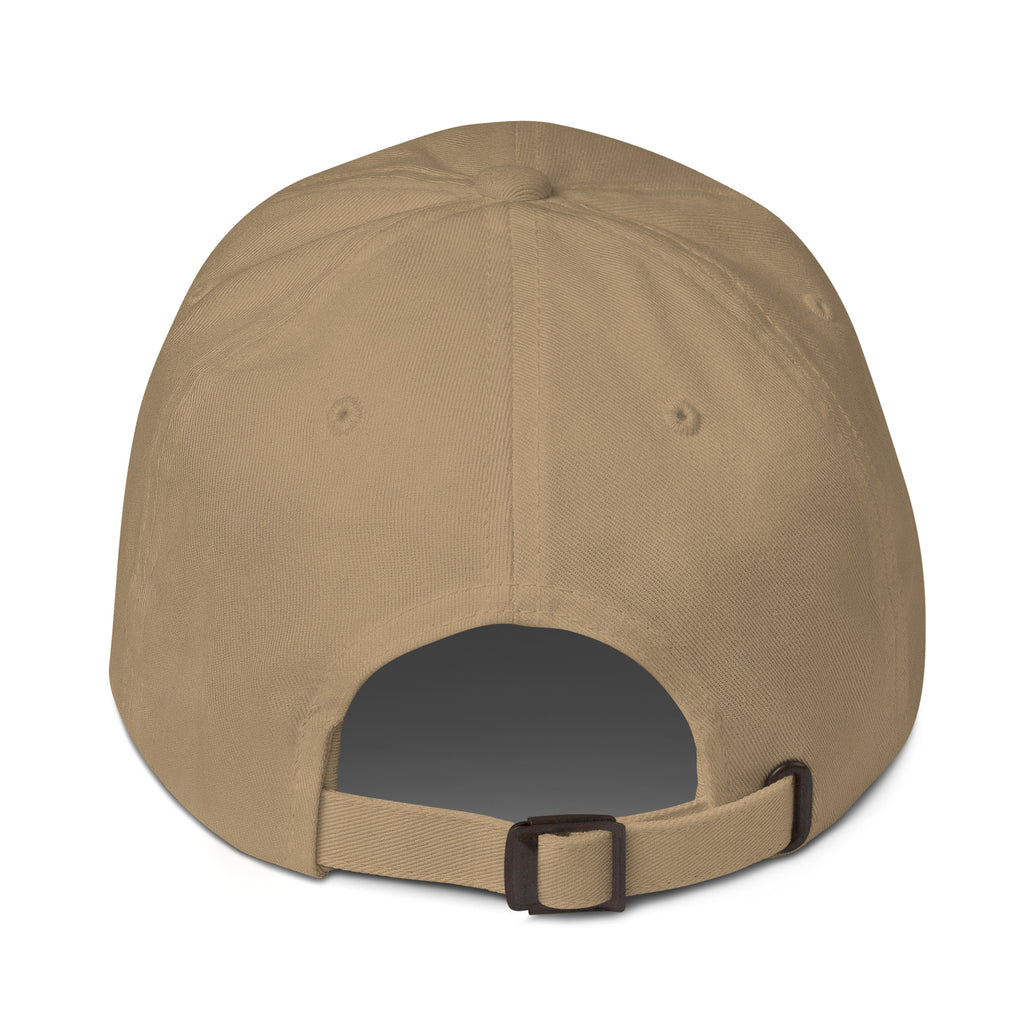 Stormy Point Dad hat