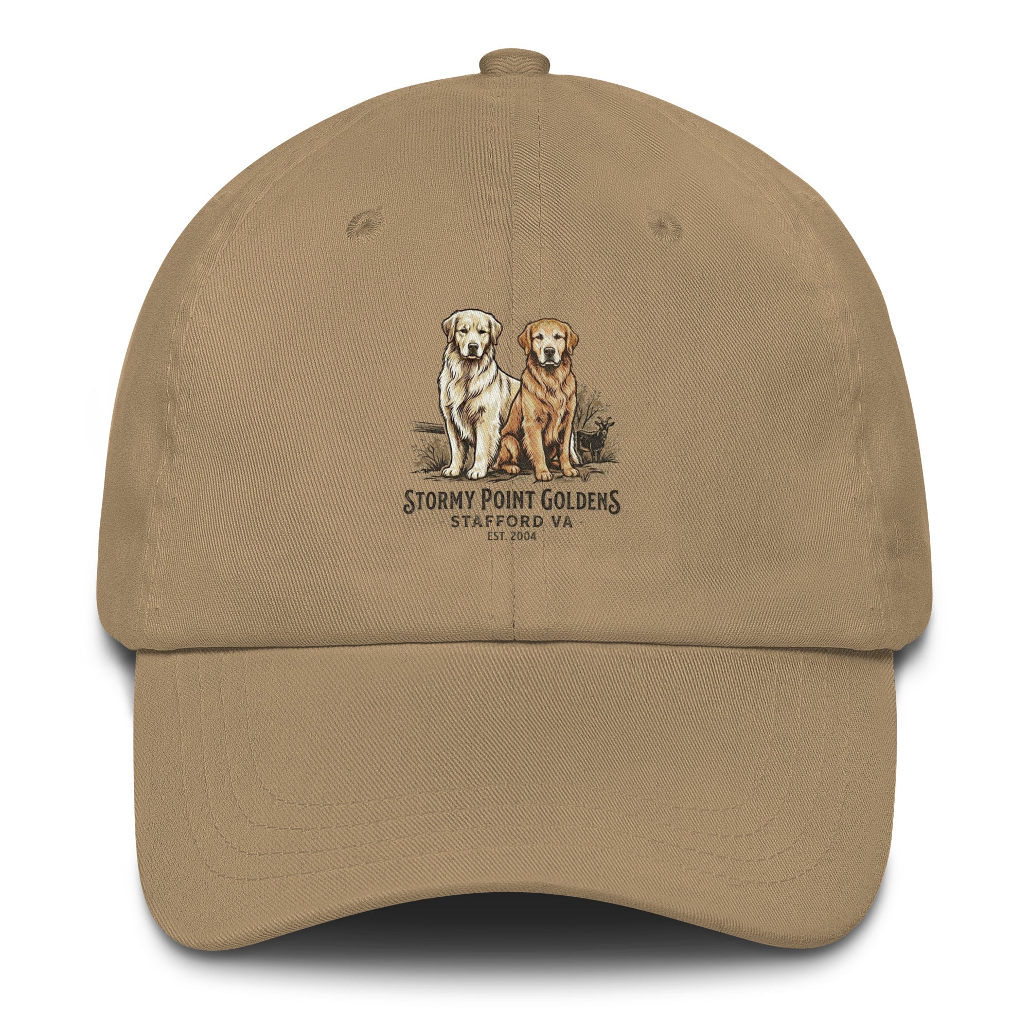 Stormy Point Dad hat