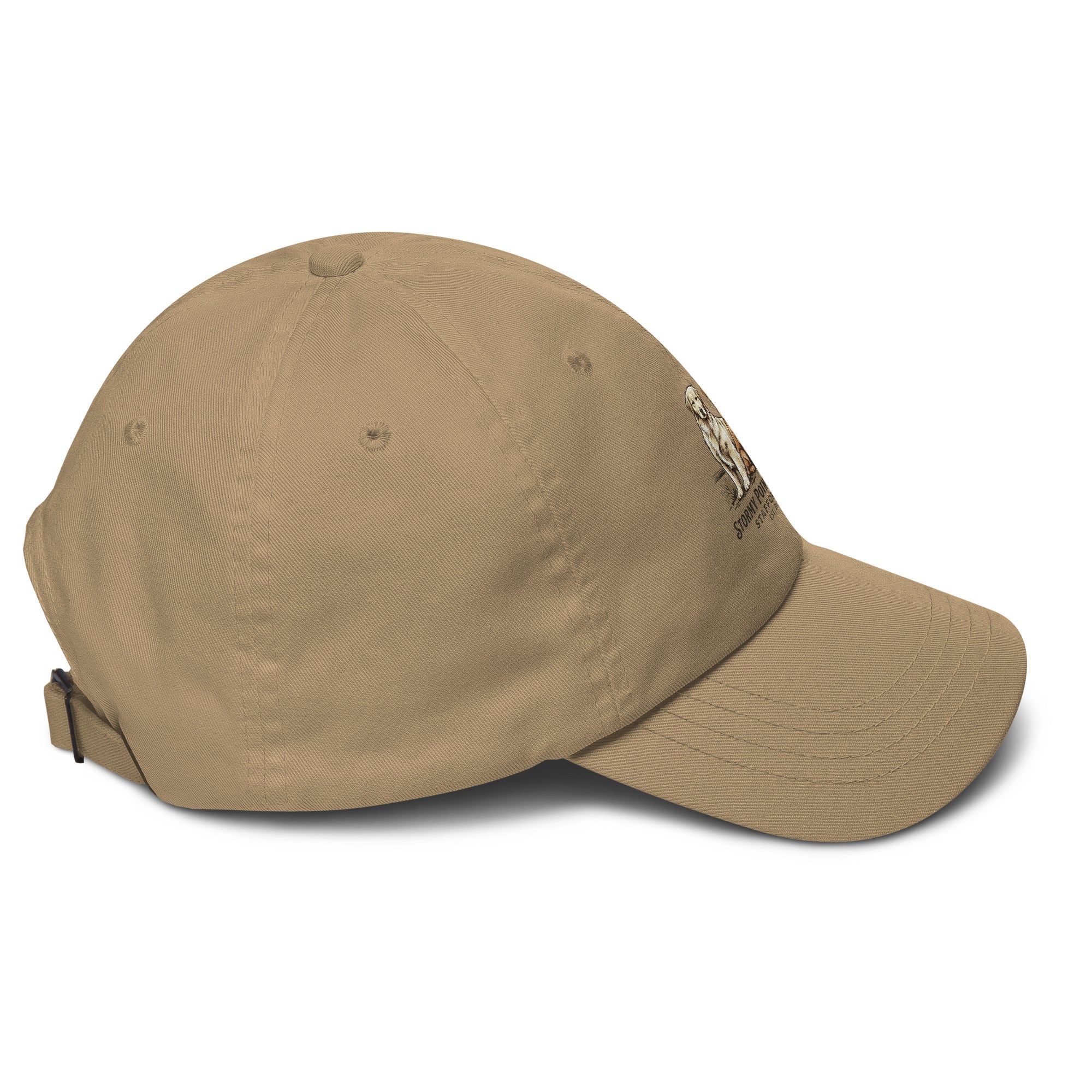 Stormy Point Dad hat