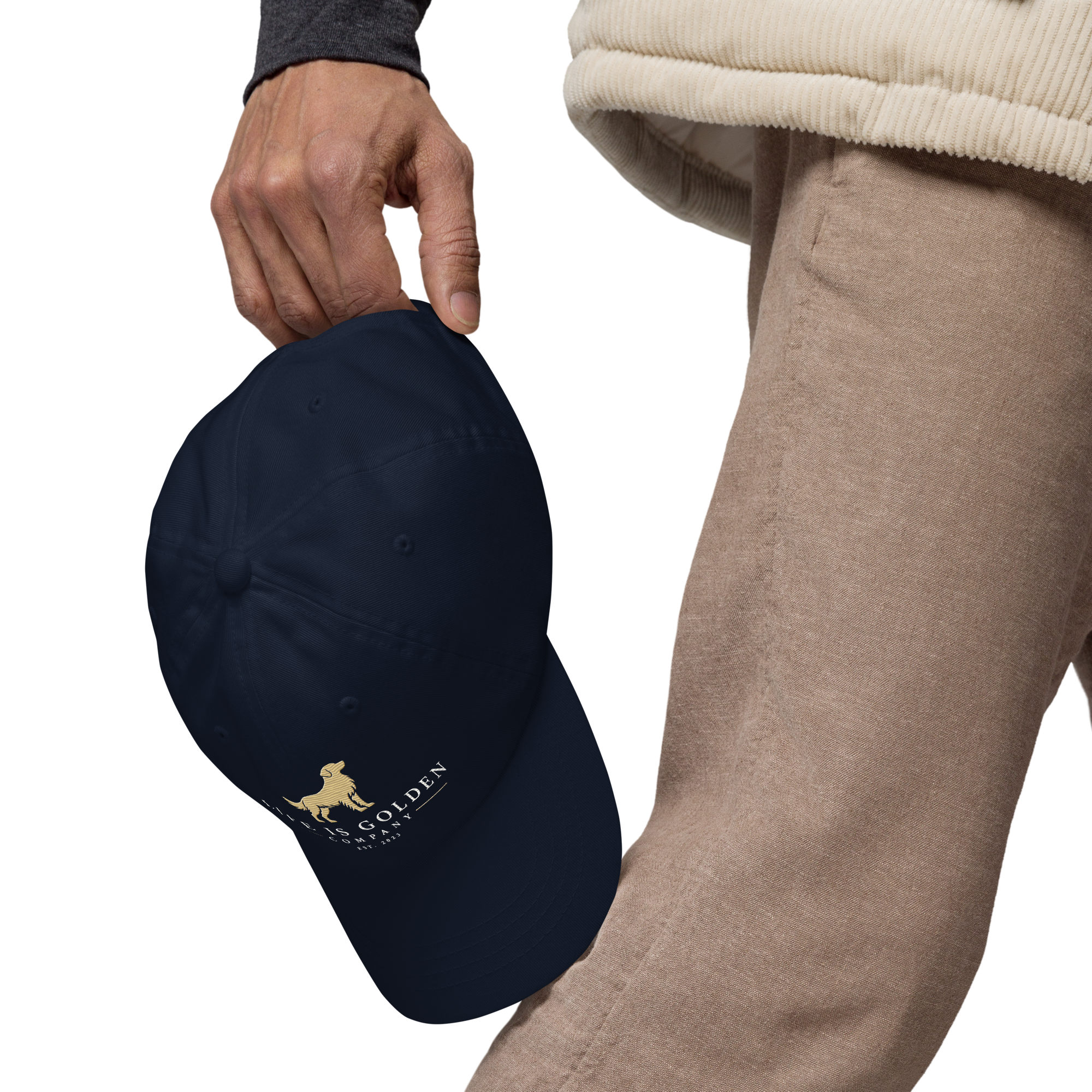 LIG Dad Hat