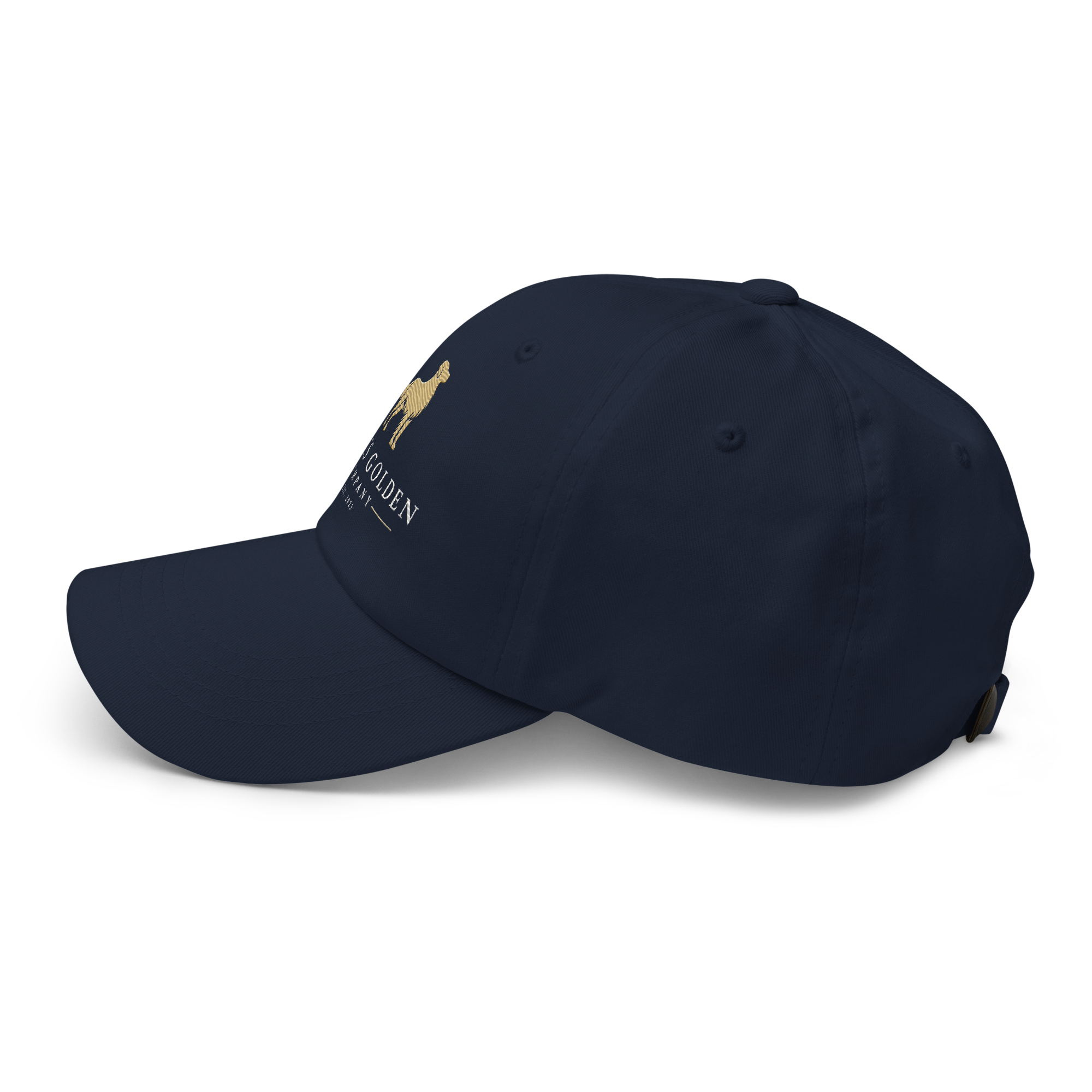 LIG Dad Hat