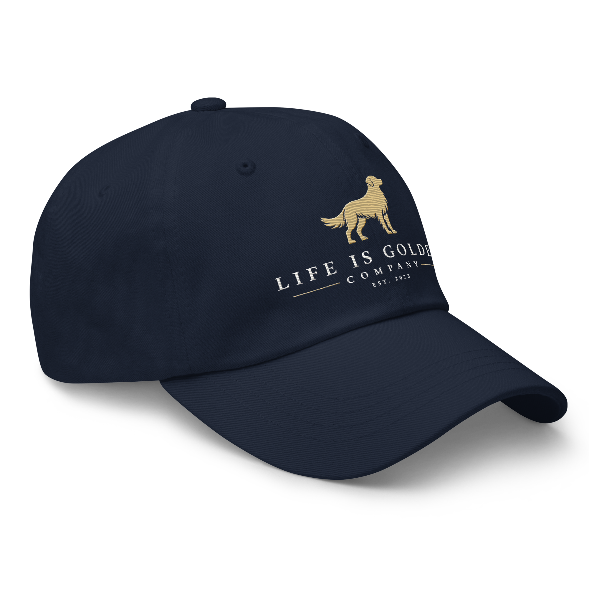 LIG Dad Hat