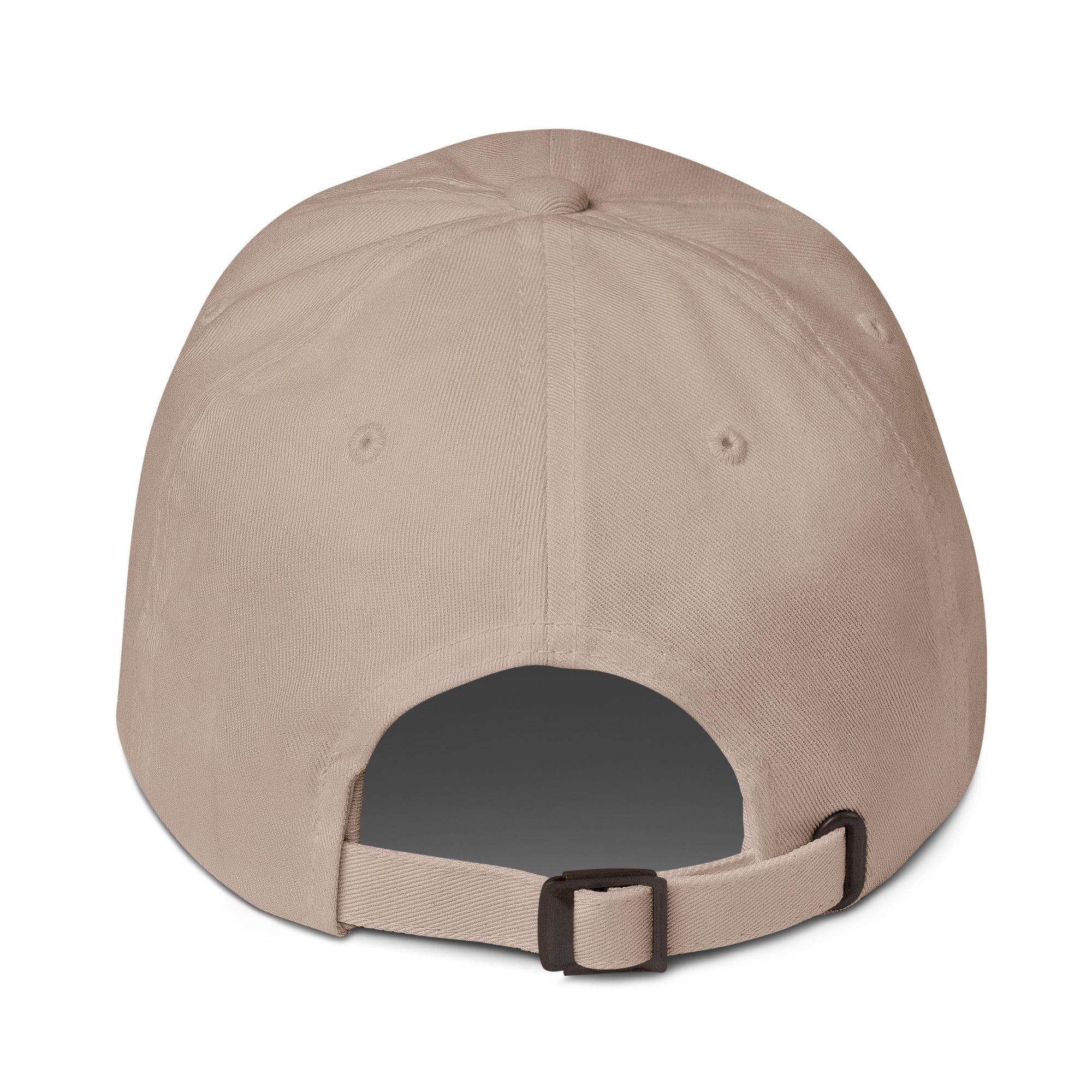 Stormy Point Dad hat