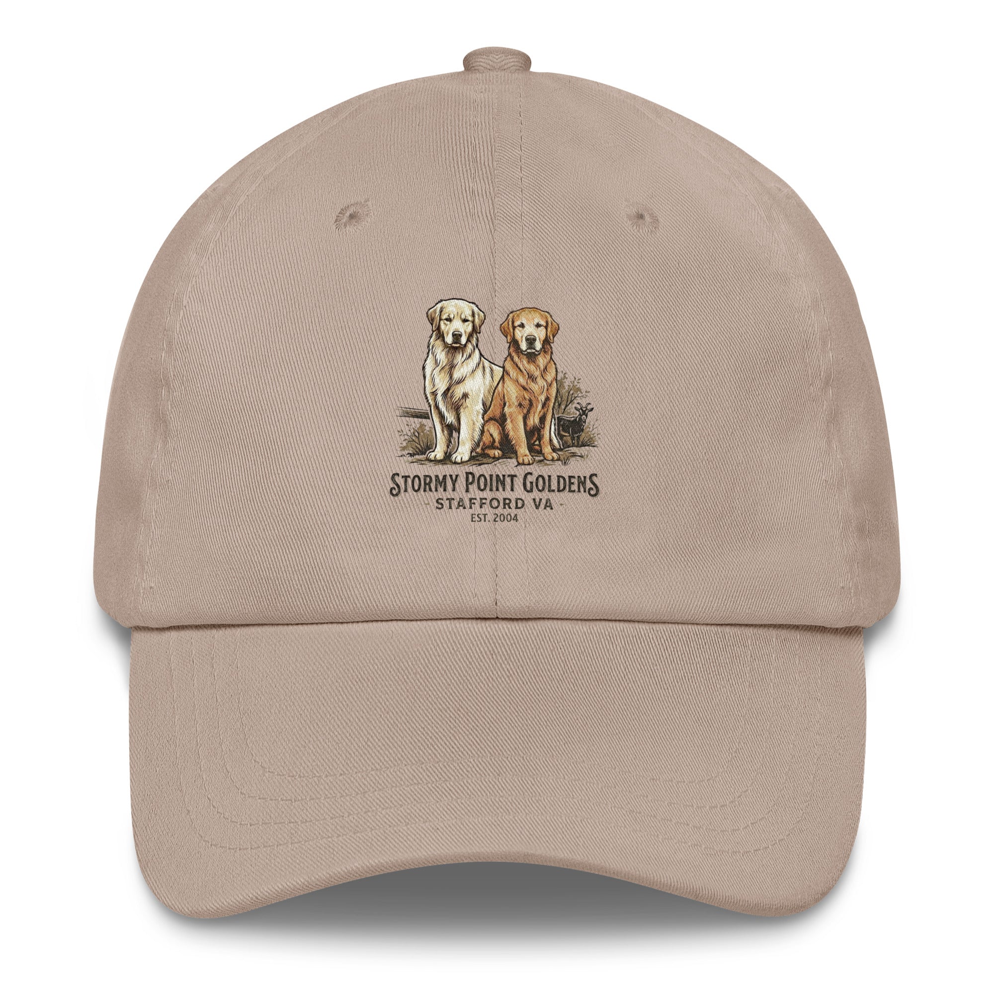 Stormy Point Dad hat