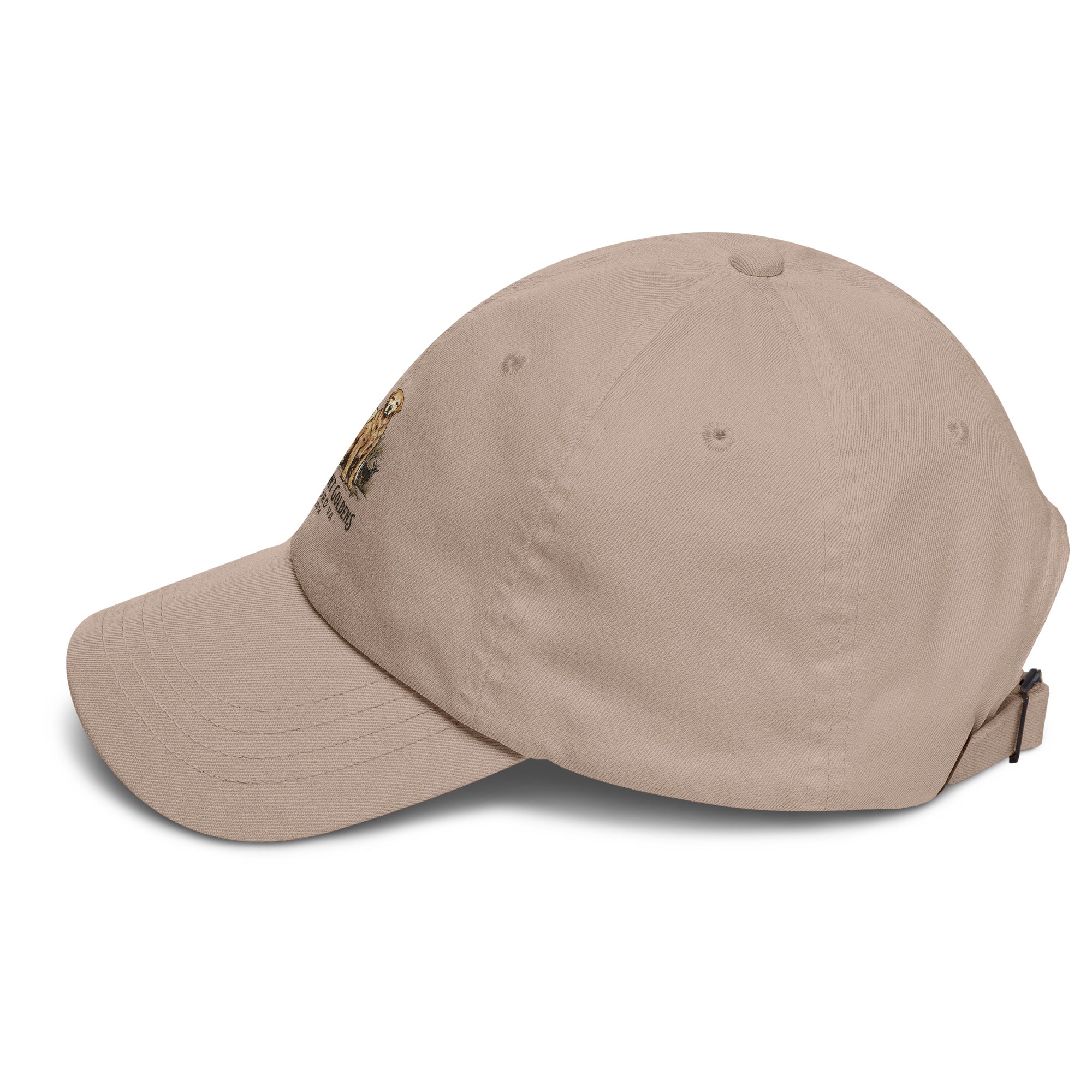 Stormy Point Dad hat