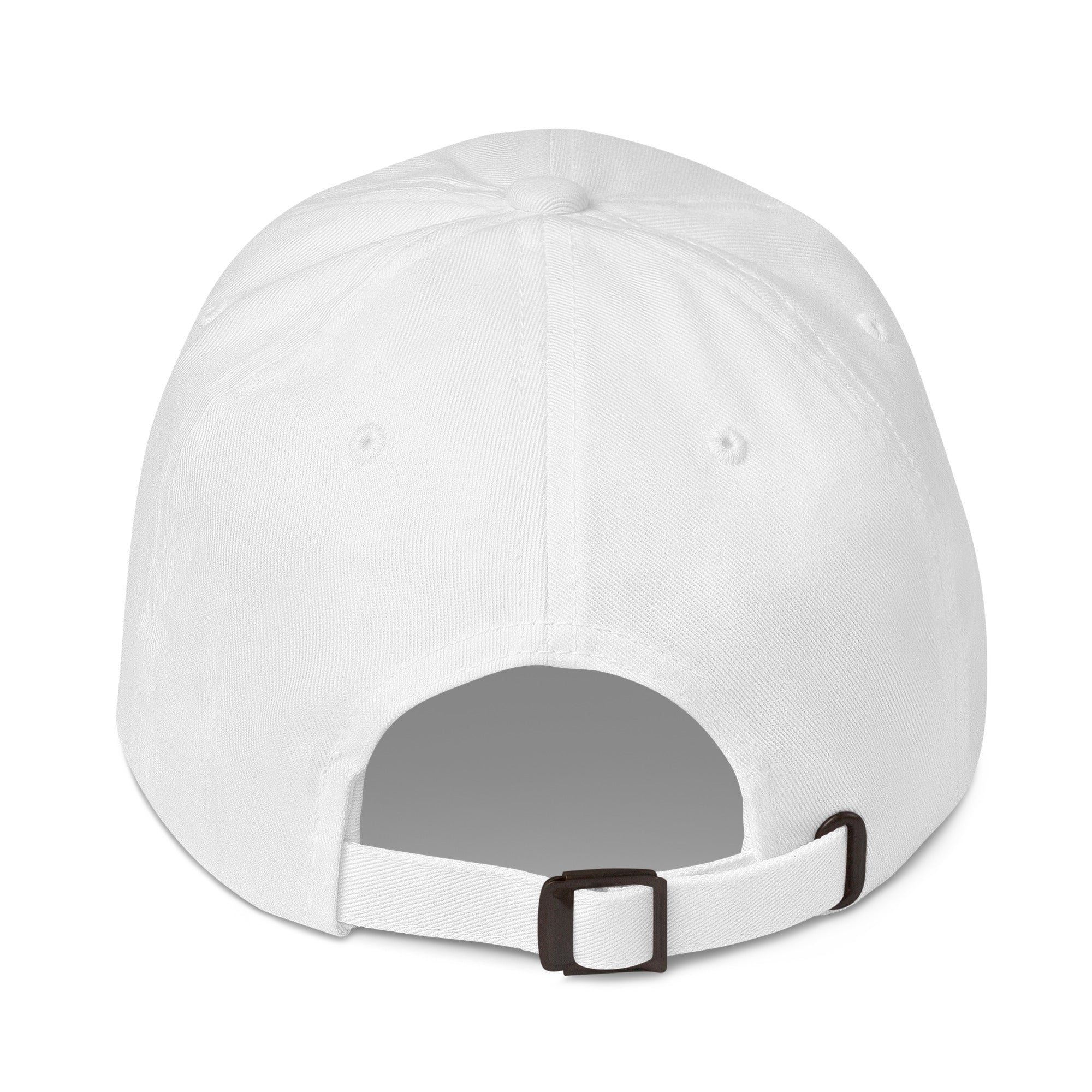Stormy Point Dad hat