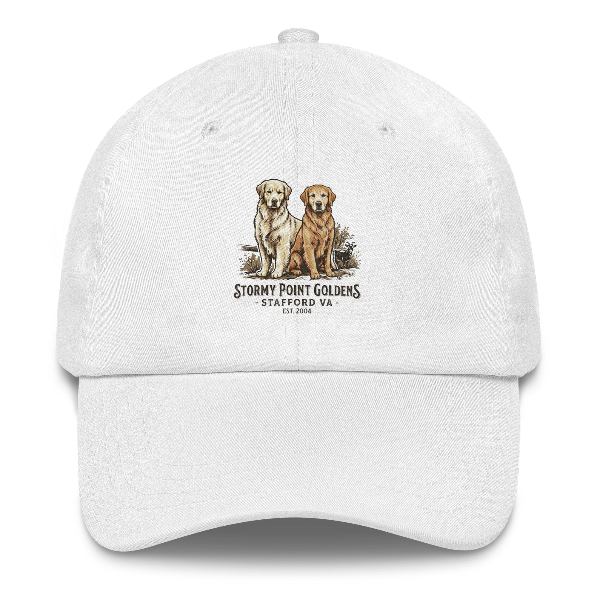 Stormy Point Dad hat