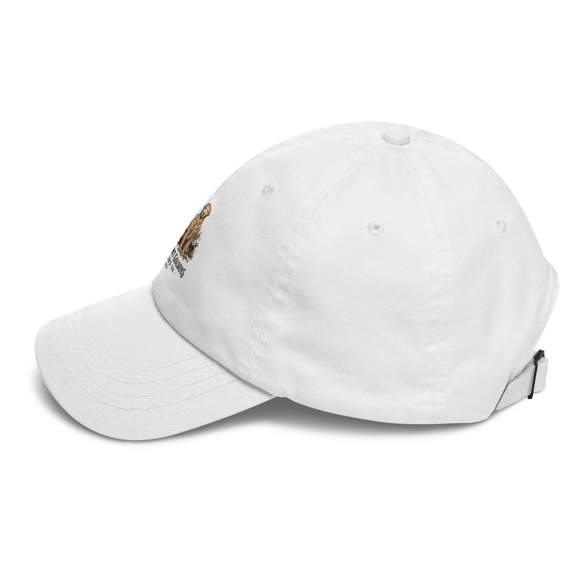 Stormy Point Dad hat