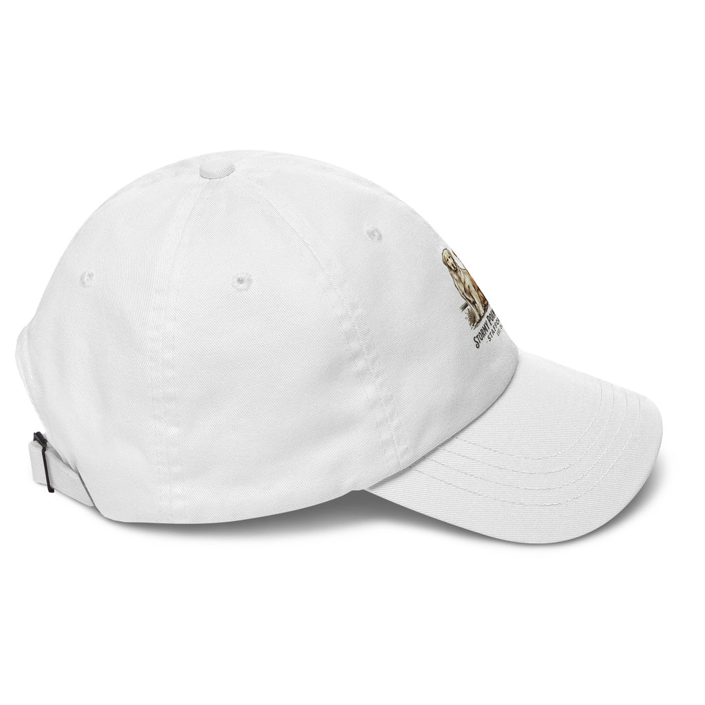 Stormy Point Dad hat