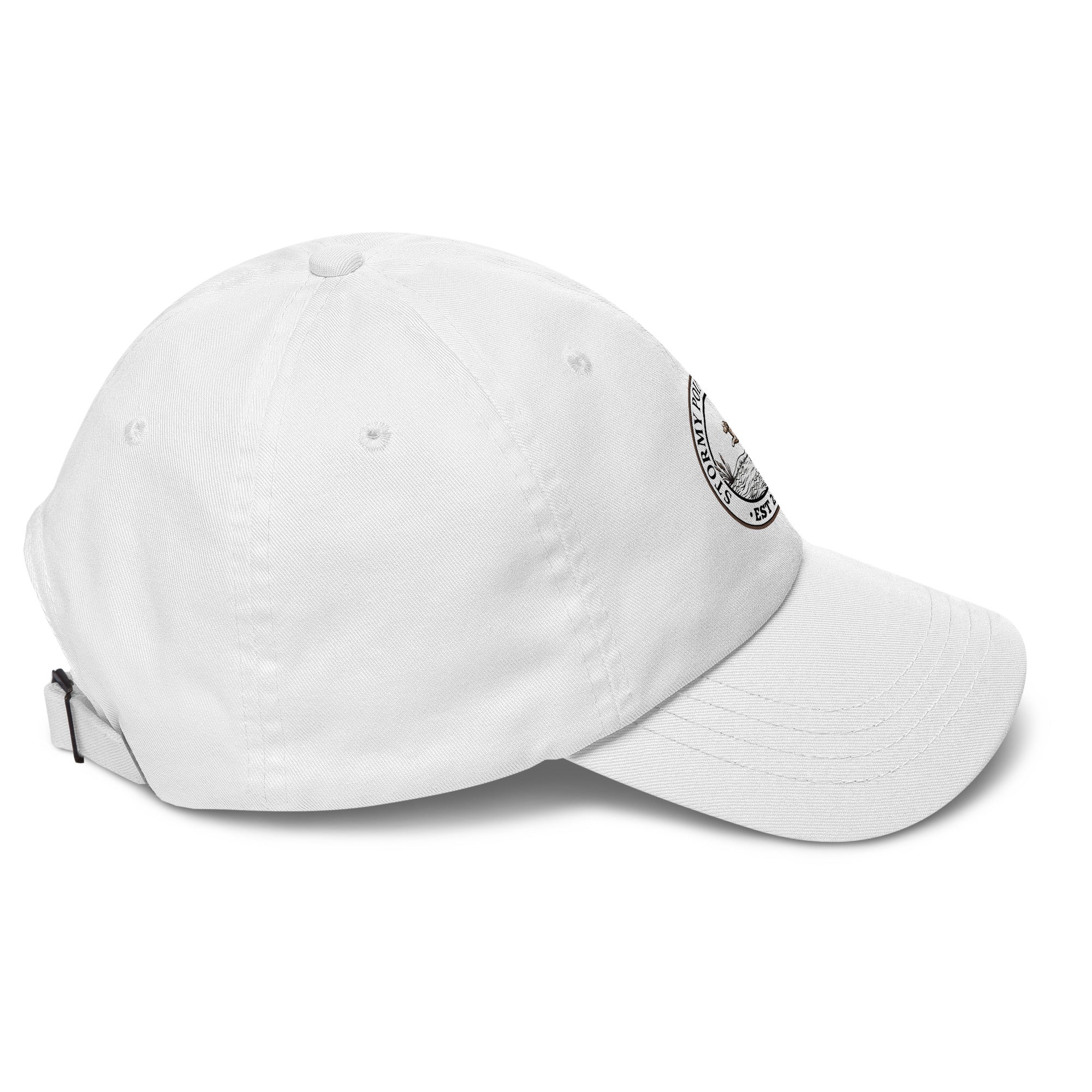 Stormy Point Logo Dad hat