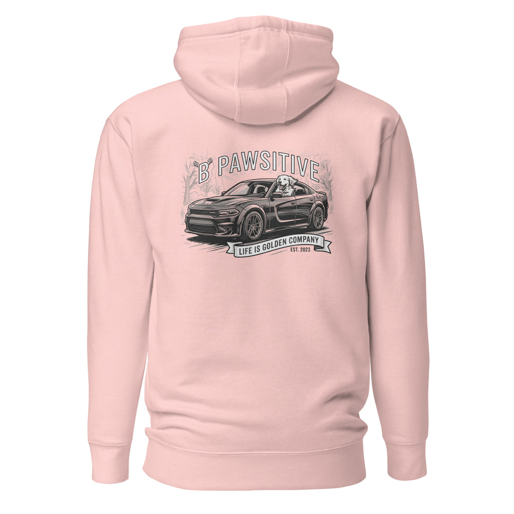 B Pawsitive Unisex Hoodie