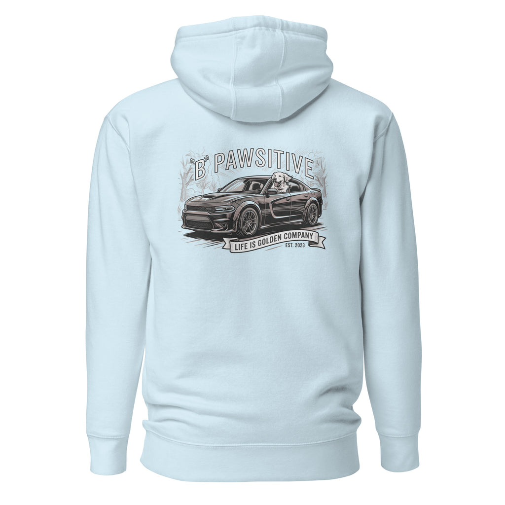 B Pawsitive Unisex Hoodie