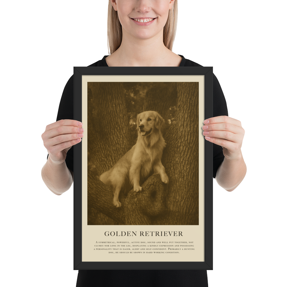 Higher Ground Framed Print