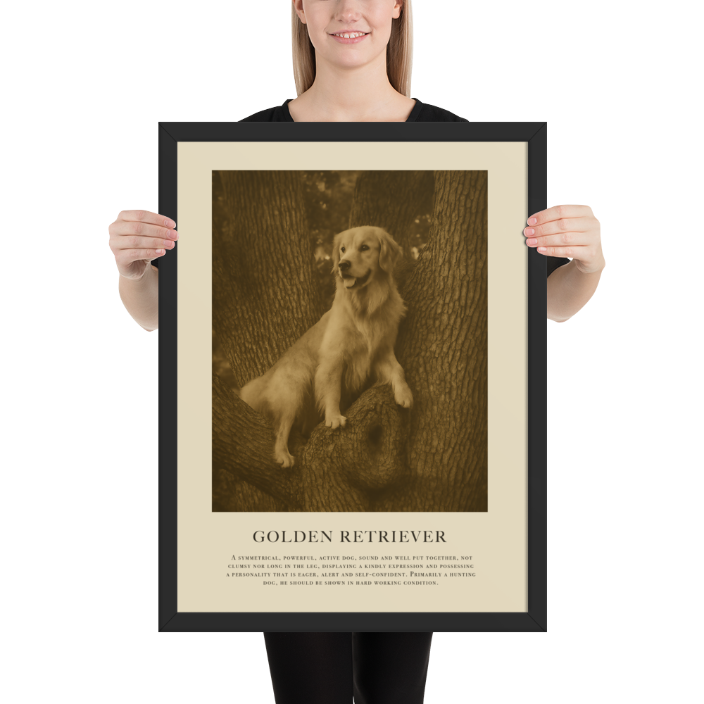 Higher Ground Framed Print