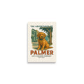 The Adventures of Palmer Poster