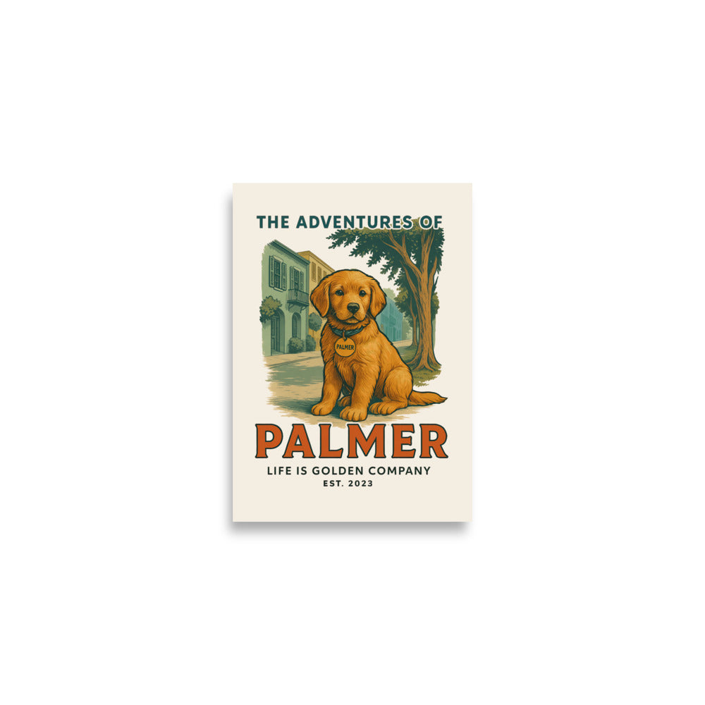 The Adventures of Palmer Poster