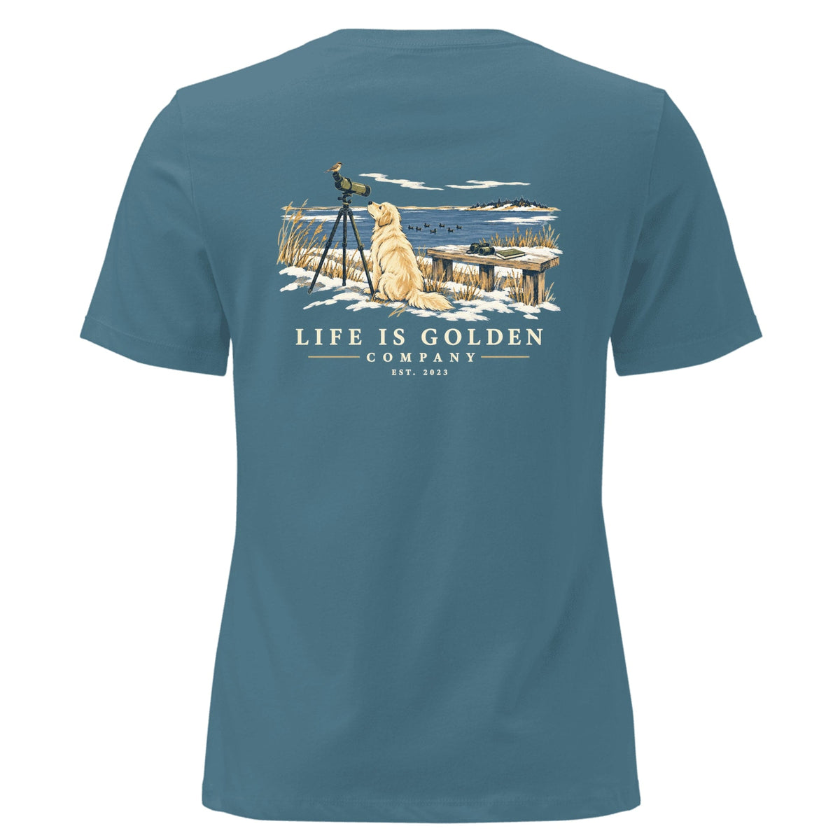 Winter Bird Count Women's Relaxed Tee — Heather Deep Teal