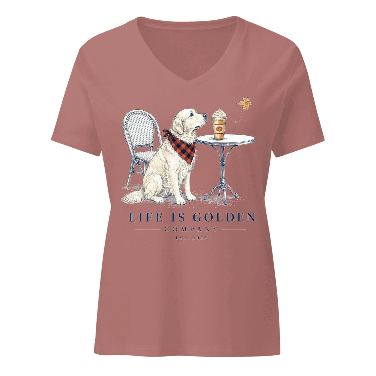 The Pumpkin Spice Women's V-Neck — Heather Mauve