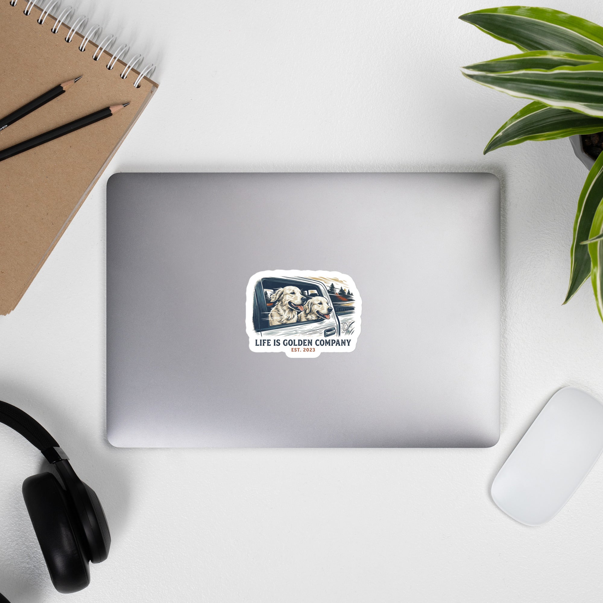Window Riders Decal