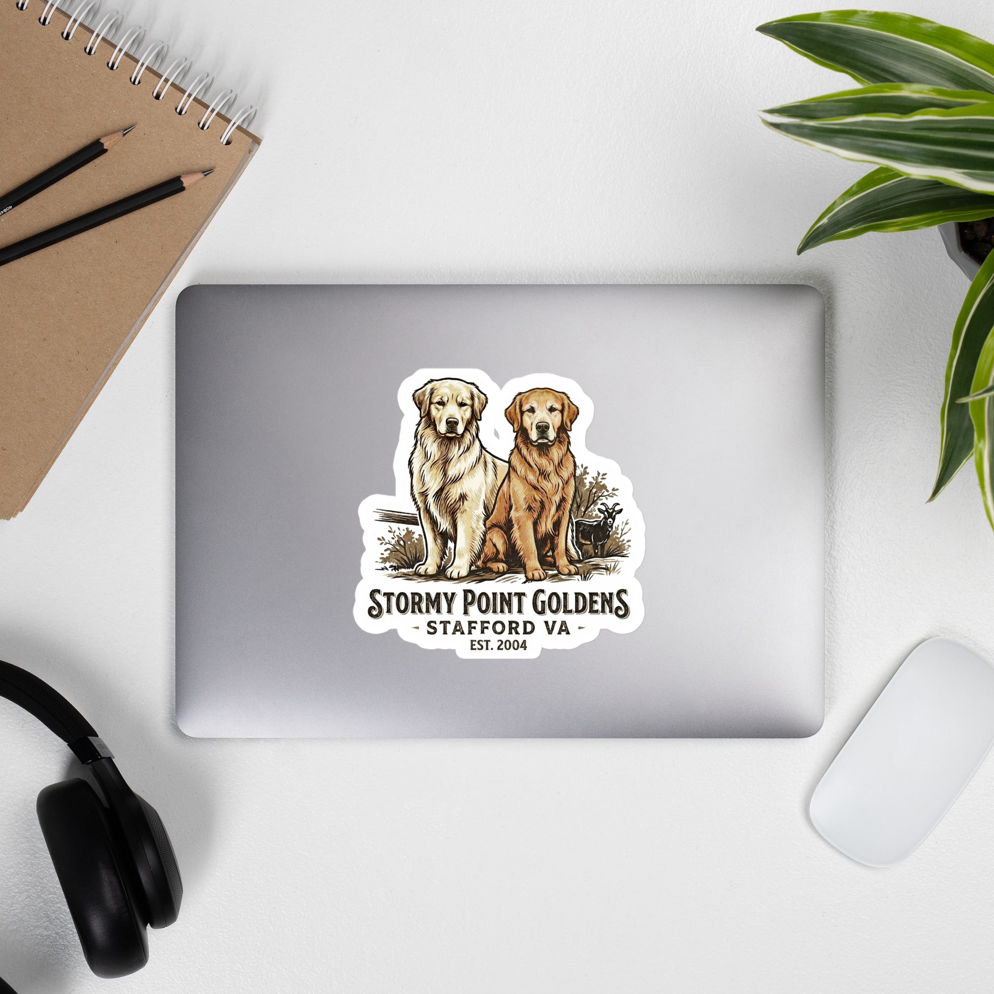 Stormy Point Decal