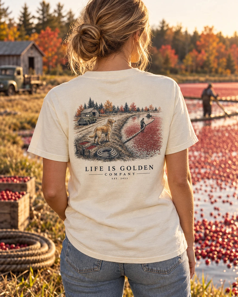 The Cranberry Harvest