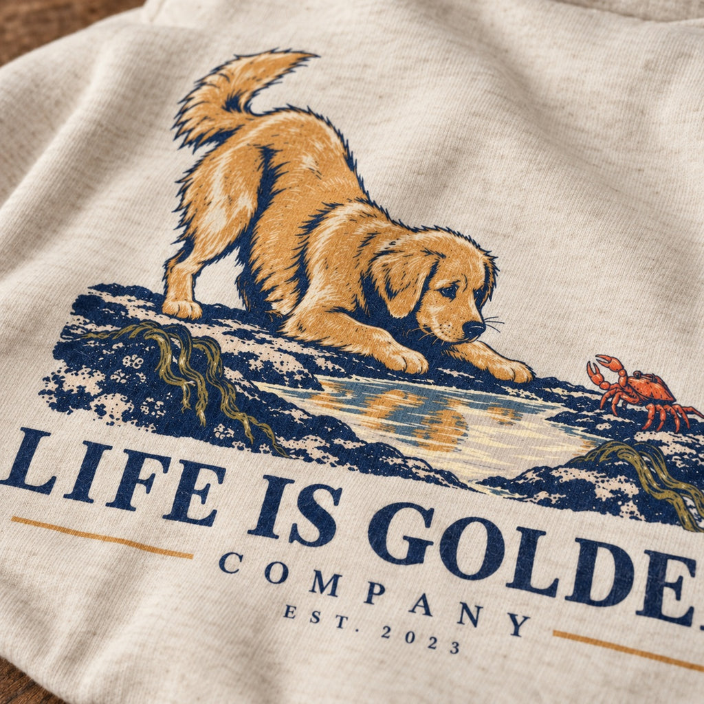 Low Tide Play Hoodie — lifestyle