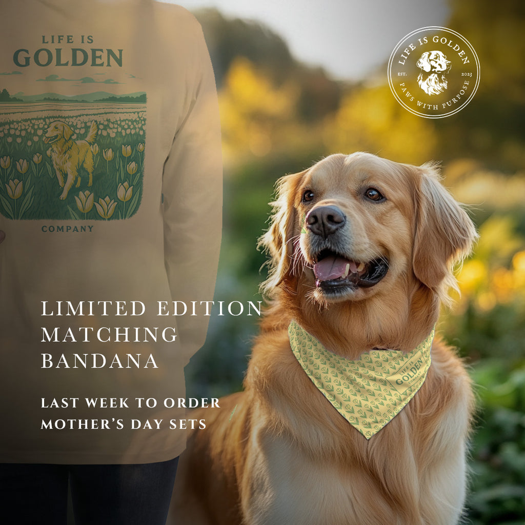 Fields Of Gold Bandana