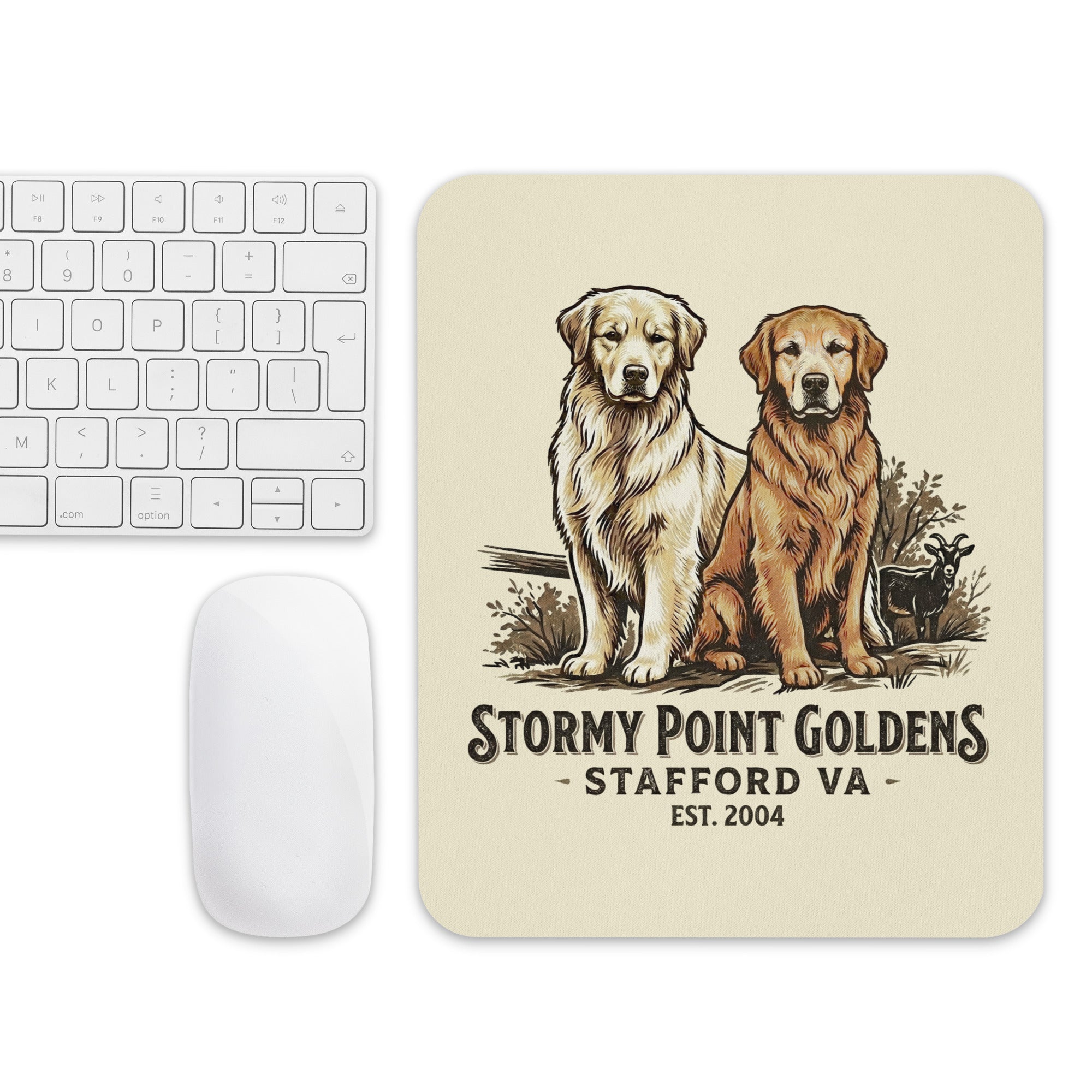 Stormy Point Mouse pad