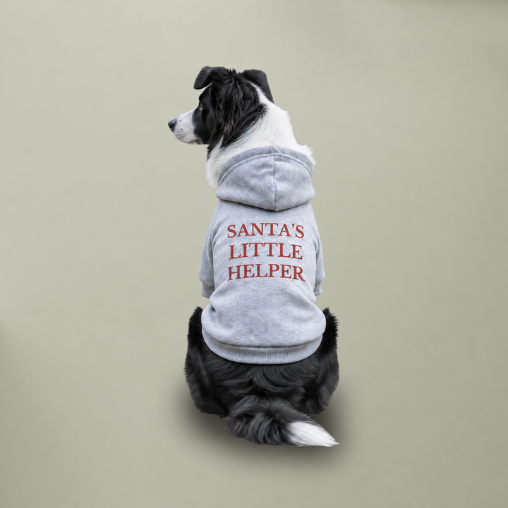 Santa’s Little Helper Dog Hoodie